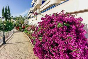 Large Direct Ocean Front 4bd Apartment