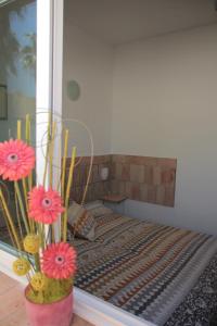 Finca Doña Sofia Maria