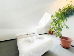 Mansarda Vista Mare a Zinola