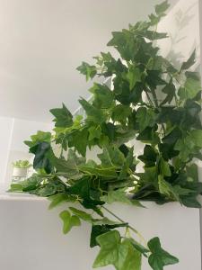 Luminoso y con Airco - D4 - frente a la piscina en Mareverde