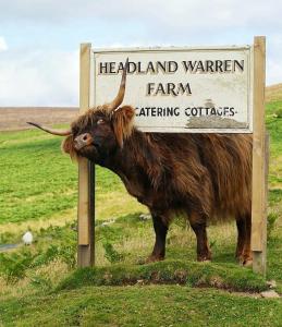 Idyllic Dartmoor Cottage