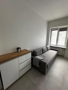 Apartament w samym centrum