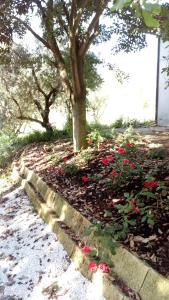 Casale Mongiusti 1961