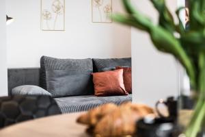 Parrot - 77 Apartments Wigury - Dostęp na KOD - Parking - Smaczna Kawa - Centrum - Blisko Piotrkowska - Galeria - Widok na miasto - Klimatyzacja - 7 piętro - FV