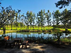 Tea Tree House in Chiang Mai