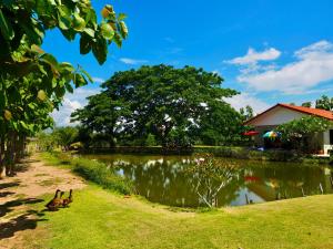 Tea Tree House in Chiang Mai