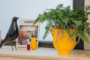 Neue Architektur Wohnung in Mitte - Beste Lage