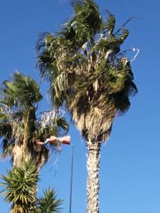 Katikies Superior Villa