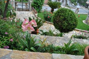 Amaryllis Luxury Suite