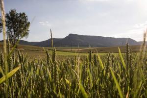 Restaurace Na Křižovatce