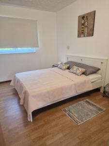 Apartman Zoya 