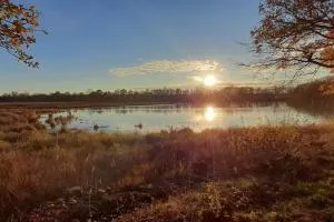 Au coeur de La Dombes - 沙拉龙恩河畔沙蒂利翁