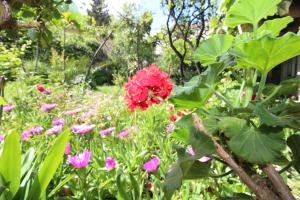 Makarska centre & free private parking