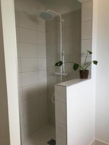 Villa Petit Caprice - Piscine privée au calme dans jardin arboré