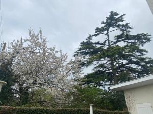 Villas Villa centre Royan 3 chambres 3 grands lits : photos des chambres