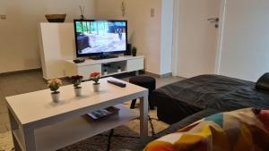 spacieux appartement 130 M2