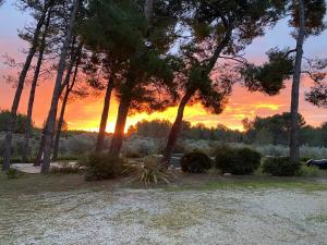 La Planque des Alpilles