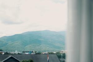 Peppery Hills