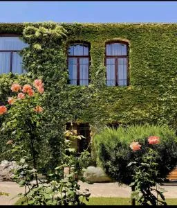 Guesthouse Edena - Tsesi