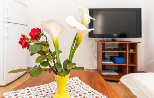 Amazing Apartment In Okrug Gornji 