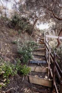 Lazy Susan=s= Waterfront Shack