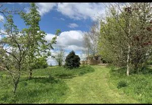 Woodpecker Lodge- A Pet Friendly Rural Retreat - Linkinhorne