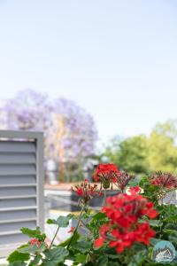 Aircabin - Homebush - Sydney - 2 Beds Apartment