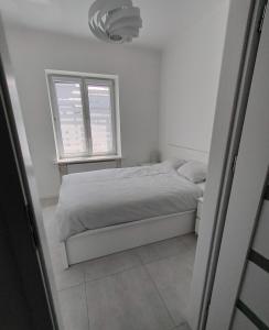 Apartament w samym centrum