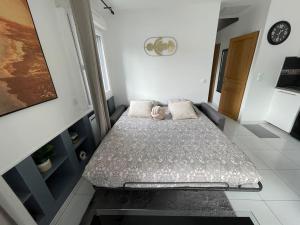 Appartements Elegant appartement, veranda cosy : photos des chambres