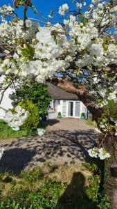 Nara Seaside Retreat - Carrickfergus