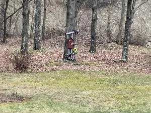 StoneBrook Haven near Guthrie RPH Towanda Campus - Ulster