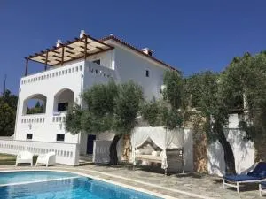 Villa Victoria apartment - 阿洛尼索斯古镇