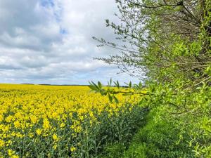 Apartment Kranich by Interhome