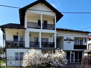 Pensiunea Antonia