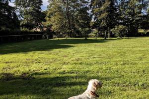 Cosy Owl - Shepherds Hut