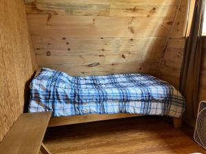 Willow Point Cabin Brenchly Lake