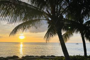 The Pod, access to Pool & Beach Club, Sunset Crest