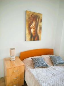 Centar Apartment Aleks