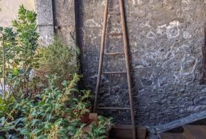 B&B / Chambres d'hotes Nid douillet : photos des chambres