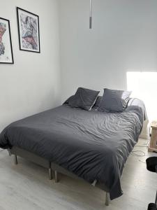 Appartements Duplex 12 eme : photos des chambres