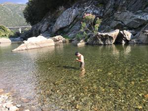 B&B Helga's Agricampeggio img37