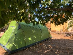 B&B Helga's Agricampeggio img43