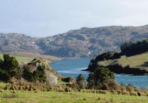 Cushatrough Claddaghduff