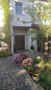 Apartment Lavinia