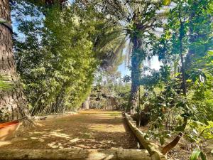 Villas Mas Elisange : photos des chambres