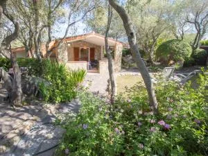 Casa vacanze Rugiada Porto Pollo - Porto Pollo