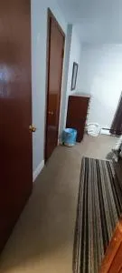 Picon Homey - 斯普林菲尔德