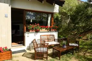 La dimora di Dafne 48 - Lama