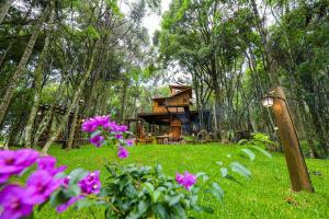 Casa na Árvore em Gramado