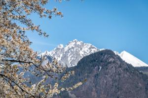 Appartement avec Vue sur la Montagne